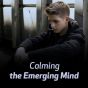 Calming the Emerging Mind