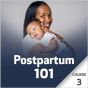 Postpartum 101 - Course 3