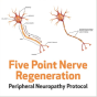 Five Point Nerve Regeneration Peripheral Neuropathy Protocol
