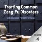 Treating Common Zang-Fu Disorders with Chinese Herbal Formulas - Course 4