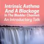 Intrinsic Asthma and a Blockage in the Bladder Channel:  An Introductory Talk