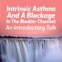 Intrinsic Asthma and a Blockage in the Bladder Channel: An Introductory Talk
