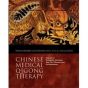 Chinese Medical Qigong Volume 2: Alchemy Daoyin, Qi Deviations