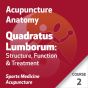 Acupuncture Anatomy Series - Course 2