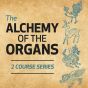 The Alchemy of the Organs