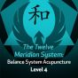 The Twelve Meridian System: Balance System Acupuncture - Level 4