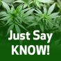 Just Say Know!