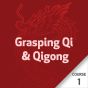 Grasping Qi & Qigong - Course 1
