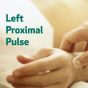 Left Proximal Pulse