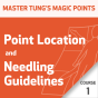 Master Tung's Magic Points: Point Location and Needling Guidelines Series - Course 1