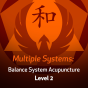 Multiple Systems: Balance System Acupuncture - Level 2