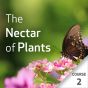 The Nectar of Plants: Essential Oils and Chinese Medicine Series - Course 2