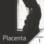 Placenta - Course 1