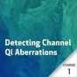 Detecting Channel Qi Aberrations - Course 1