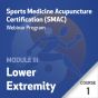 SMAC Webinar Program - Module III (Lower Extremity) - Course 1