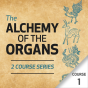 The Alchemy of the Organs - Course 1