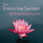 The Endocrine System and Phytobiophysics