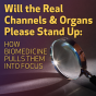 Will the Real Channels and Organs Please Stand Up