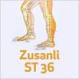 Zusanli - ST 36